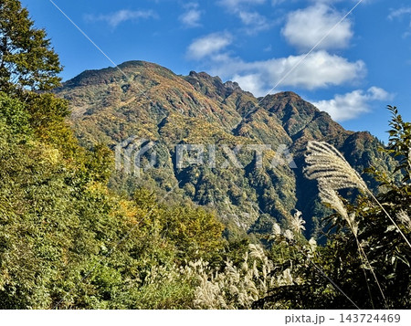 秋晴れの八海山とススキの登山道 秋晴れの八海山とススキの登山道 143724469