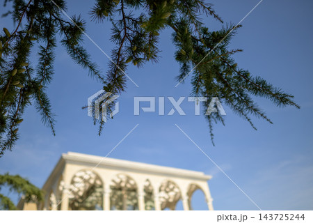 A serene outdoor scene with a partially visible ornate architectural structure set against a clear blue sky A serene outdoor scene with a partially visible ornate architectural structure set against a clear blue sky 143725244