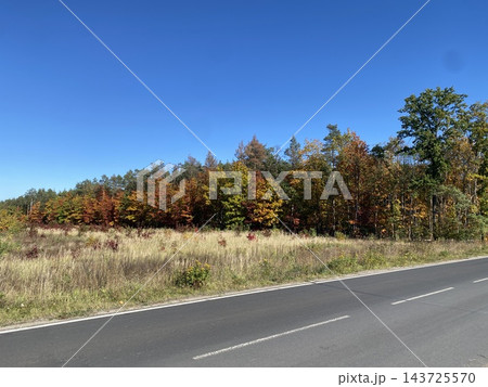 Autumn forest trees by roadside meadow under blue sky Autumn forest trees by roadside meadow under blue sky 143725570