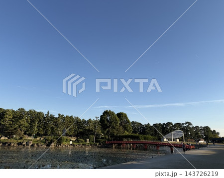池のある公園 143726219