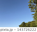 青空と新緑の木々と白い雲 143726222