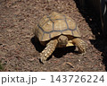 レトロな街並み 143726224