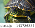 レトロな街並み 143726225