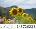 レトロな街並み 143726228