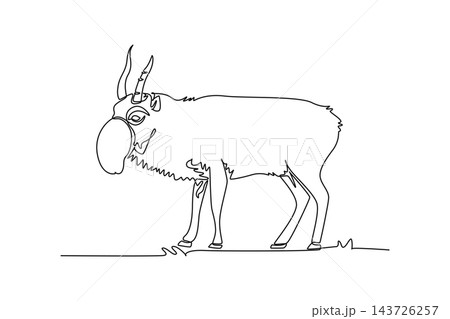 Continuous one line drawing wild saiga antelope standing in grassland, distinctive bulbous tubular snout, ridged upright horns, and slender hooves. Single line draw design vector graphic illustration Continuous one line drawing wild saiga antelope standing in grassland, distinctive bulbous tubular snout, ridged upright horns, and slender hooves. Single line draw design vector graphic illustration 143726257