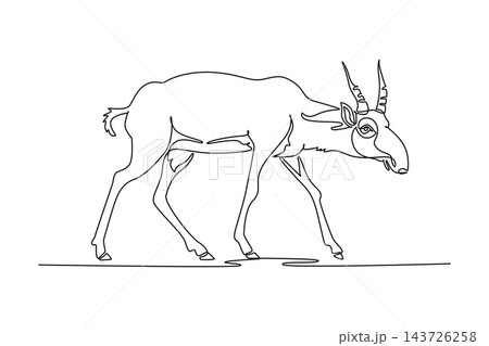 Continuous one line drawing endangered wild saiga antelope striding across grassland terrain, distinctive bulbous nasal cavity, ringed upright horn. Single line draw design vector graphic illustration 143726258