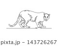 Single continuous line drawing wild leopard prowling stealthily across ground, spotted rosettes, feline muscularity, long tail, focused predator gaze. One line draw graphic design vector illustration 143726267