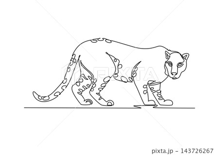 Single continuous line drawing wild leopard prowling stealthily across ground, spotted rosettes, feline muscularity, long tail, focused predator gaze. One line draw graphic design vector illustration Single continuous line drawing wild leopard prowling stealthily across ground, spotted rosettes, feline muscularity, long tail, focused predator gaze. One line draw graphic design vector illustration 143726267