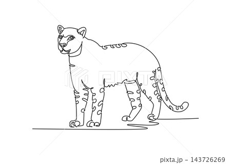 Single one line drawing wild leopard or cheetah standing alertly. Spotted coat patterns, muscular feline body, rounded ears, long curved tail. Continuous line draw design graphic vector illustration Single one line drawing wild leopard or cheetah standing alertly. Spotted coat patterns, muscular feline body, rounded ears, long curved tail. Continuous line draw design graphic vector illustration 143726269