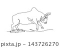 Single continuous line drawing wild zebu bull with distinct hump walking forward with head bowed low, pointed horns, muscular neck folds, sturdy hoove. One line draw graphic design vector illustration 143726270