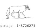 Single one line drawing wild jackal or wolf trotting across savanna grass, highlighting its slender canine body, pointed erect ears, bushy tail. Continuous line draw design graphic vector illustration 143726273