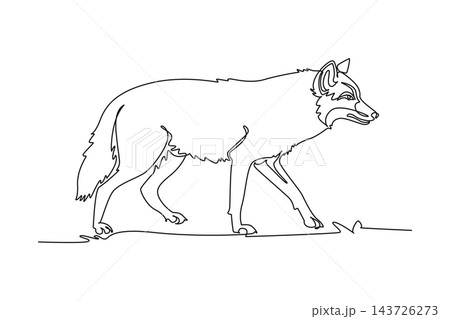 Single one line drawing wild jackal or wolf trotting across savanna grass, highlighting its slender canine body, pointed erect ears, bushy tail. Continuous line draw design graphic vector illustration 143726273