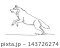 Single continuous line drawing a wild jackal or wolf leaping dynamically mid-air, its poised pouncing motion, pointed ears, open jaws, and bushy tail. One line draw graphic design vector illustration 143726274