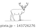 Single one line drawing wild deer stag standing in a meadow looking straight forward, large branching antlers, slender stance, and sharp hooves. Continuous line draw design graphic vector illustration 143726276
