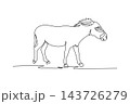 Single one line drawing wild donkey or burro walking across open savanna, its large upright ears, bristled mane, bowed head, and slender legs. Continuous line draw design graphic vector illustration 143726279