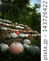 Pumpkin patch market, autumn harvest concept 143726422
