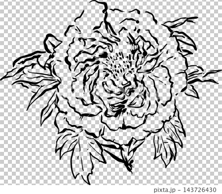 水墨畫風格的牡丹花插圖 水墨畫風格的牡丹花插圖 143726430