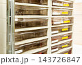 レターケースによる書類整理　プラスチックチェスト　デスク周りの収納　事務効率化 143726847