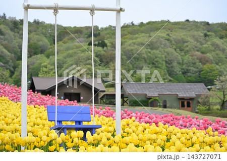 国営越後丘陵公園の花の丘に広がるチューリップ（新潟県長岡市） 143727071