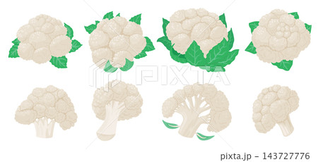 Cauliflower Heads And Cuts Set Cartoon 143727776