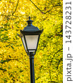 Vintage Street Lamp in Autumn Park With Yellow Leaves Bokeh Background and Warm Fall Light 143728231
