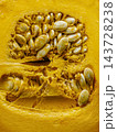 Close-Up of Fresh Pumpkin Seeds and Flesh Inside Orange Squash for Autumn Harvest and Cooking 143728238