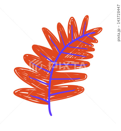 Leaf Scribble With Vein Crayon Style 143728447