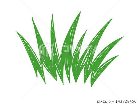 Grass Cluster Scribble Sketch 143728456