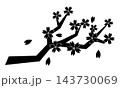花びらが舞う桜の枝のシルエット ピクトグラム モノクロ 143730069