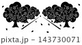 桜並木と舞い散る花びらのシルエット ピクトグラム モノクロ 143730071
