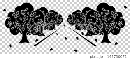 A black and white pictogram of cherry blossom trees and falling petals in silhouette. A black and white pictogram of cherry blossom trees and falling petals in silhouette. 143730071