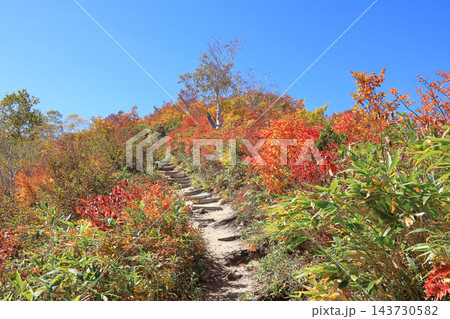 白馬五竜　秋の遠見尾根登山道 143730582