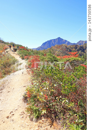 白馬五竜　遠見尾根登山道からの山岳展望 143730586