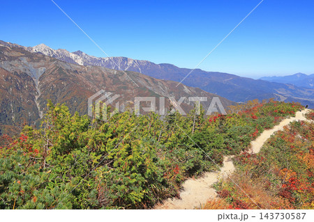 白馬五竜 遠見尾根登山道からの山岳展望 白馬五竜 遠見尾根登山道からの山岳展望 143730587