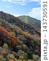 剣山の紅葉と次郎笈　徳島県日本百名山 143730591