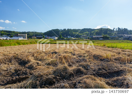 稲刈りが終わり切り藁が広がる秋晴れの広大な田園風景 143730697