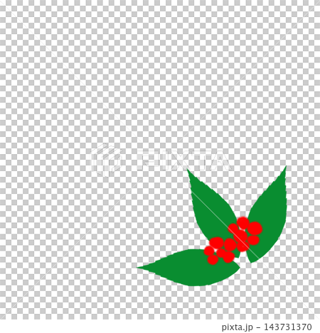 Hand-painted Ardisia crenata corner decoration with red berries and leaves 143731370