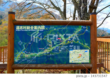 春爛漫の奥道志川 143731547