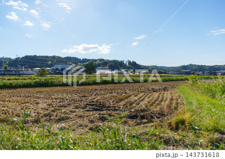 秋晴れの青空のもと稲刈りが終わり切り株が並ぶ広大な田んぼと集落風景 143731618