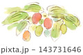 秋の植物、カラフルなサンシュユの実の水彩画イラスト 143731646