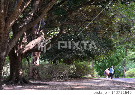 見沼田圃：見沼自然公園　散歩道 143731649