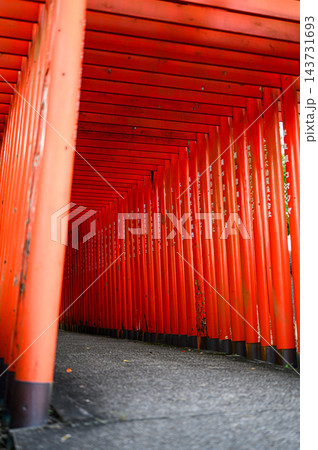 朱色の鳥居が幾重にも連なる神社の参道、柱と梁がつくる奥行きあるトンネル状の景観を撮影した風景写真素材 朱色の鳥居が幾重にも連なる神社の参道、柱と梁がつくる奥行きあるトンネル状の景観を撮影した風景写真素材 143731693