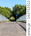 木漏れ日が心地よい新緑の遊歩道と白い橋の風景 143732022
