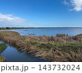 青空と静寂な水面が広がる秋の印旛沼の風景 143732024
