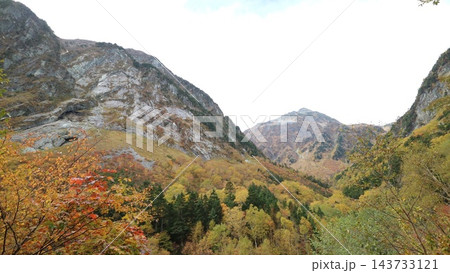 黄色や赤に色づいた木々が埋める谷と、岩肌の山がそびえる秋の山岳風景 黄色や赤に色づいた木々が埋める谷と、岩肌の山がそびえる秋の山岳風景 143733121