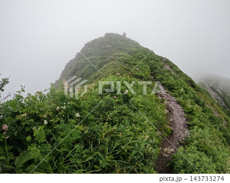 雲上の天道をゆく。中国地方最高峰・伯耆大山が魅せる槍ヶ峰から剣ヶ峰への神々しき山嶺美 143733274