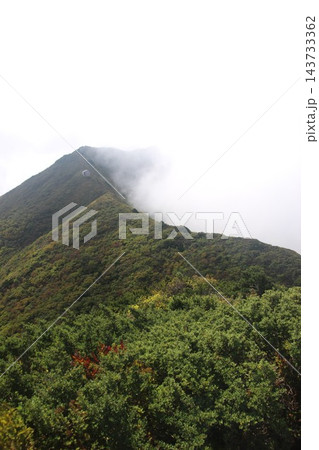 鳥取県の日本百名山・伯耆大山でユートピア避難小屋やP1636から天狗ヶ峰・弥山・剣ヶ峰を見渡す山岳絶 鳥取県の日本百名山・伯耆大山でユートピア避難小屋やP1636から天狗ヶ峰・弥山・剣ヶ峰を見渡す山岳絶 143733362