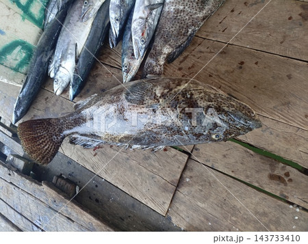 fresh fish on the marketplace table 143733410