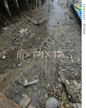 low tide behind a village house or village on the waterlow tide behind a village house or village on the water 143733411