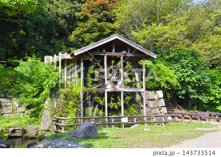 【神奈川県】大和市泉の森、夏の風景 【神奈川県】大和市泉の森、夏の風景 143733514